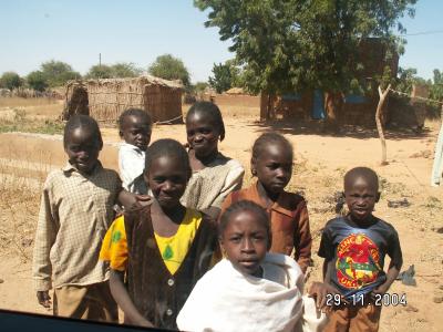 Internt fordrevne flygtninge i Darfur, 2004