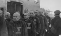 Fanger i Sachsenhausen ©USHMM