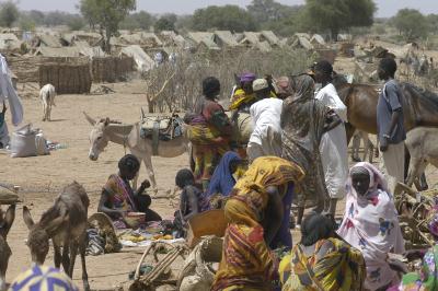 Flygtningelejr i Tchad, 2004