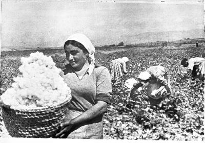 Bomuldsplukkere i Armenien i 1930'erne