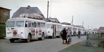 De Hvide Busser © Røde Kors
