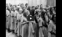 Kapitel 9 - Livet i Auschwitz