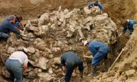 Efterforskere ved massegrav med ofre fra Srebrenica-massakren