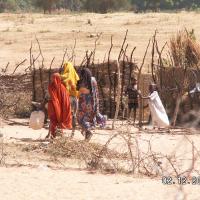 Fokusartikler om folkedrabet i Darfur