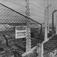Elektrisk hegn i Auschwitz ©USHMM