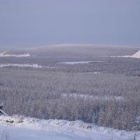 Gulag-lejren Kolyma lå i Sibirien. De arktiske forhold gjorde lejren til en af de mest frygtede