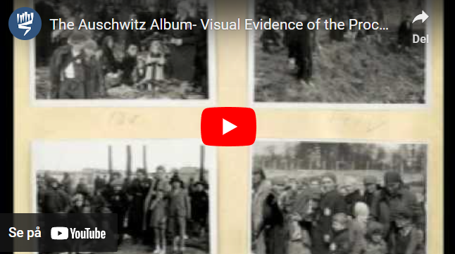 The Auschwitz Album- Visual Evidence of the Process Leading to the Mass Murder at Auschwitz-Birkenau